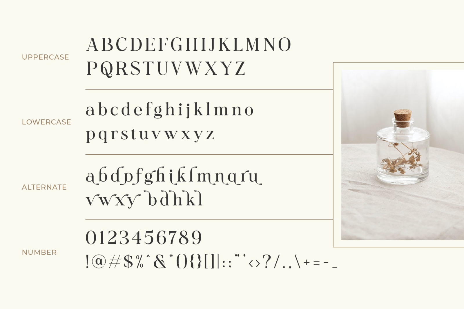 Collina // Ligature Serif Font Collina // Ligature Serif Font