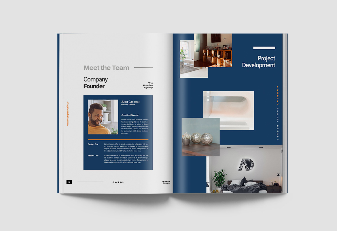 Carol Company Annual Report Indesign