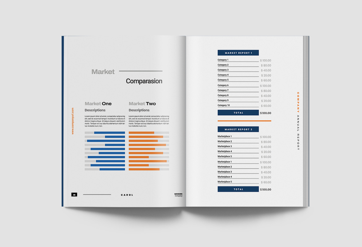 Carol Company Annual Report Indesign