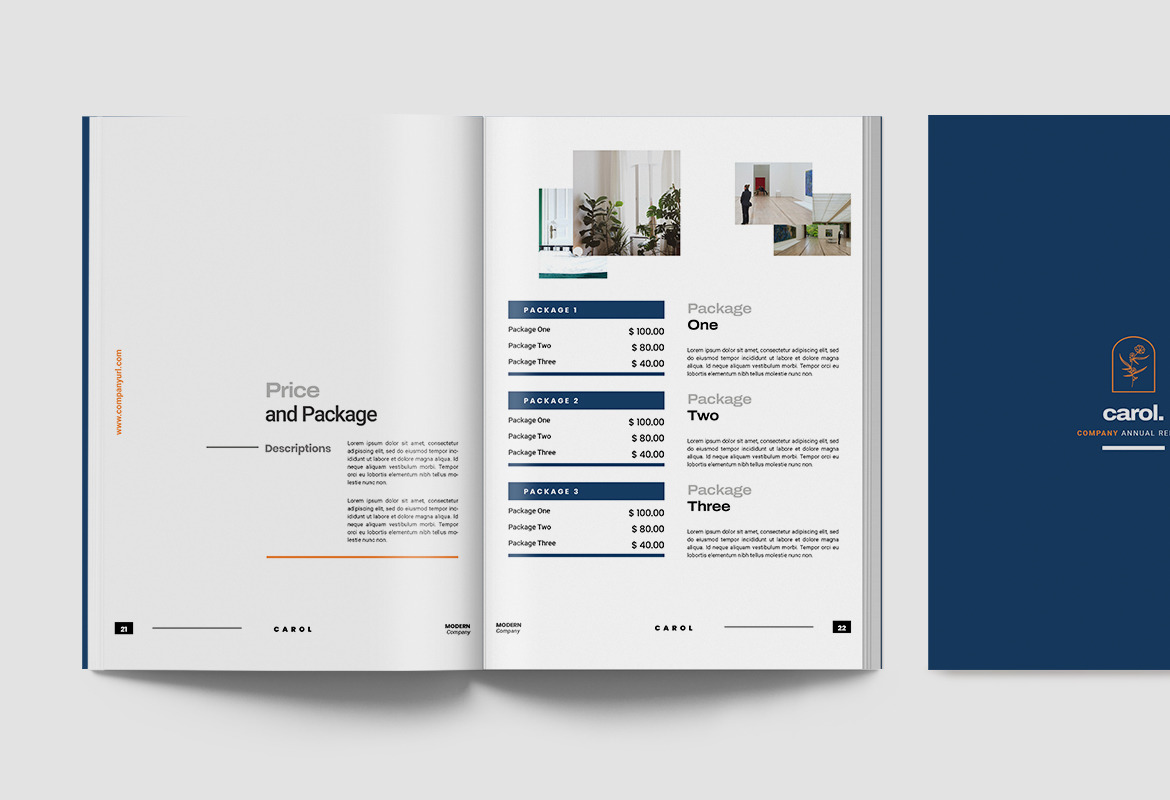 Carol Company Annual Report Indesign