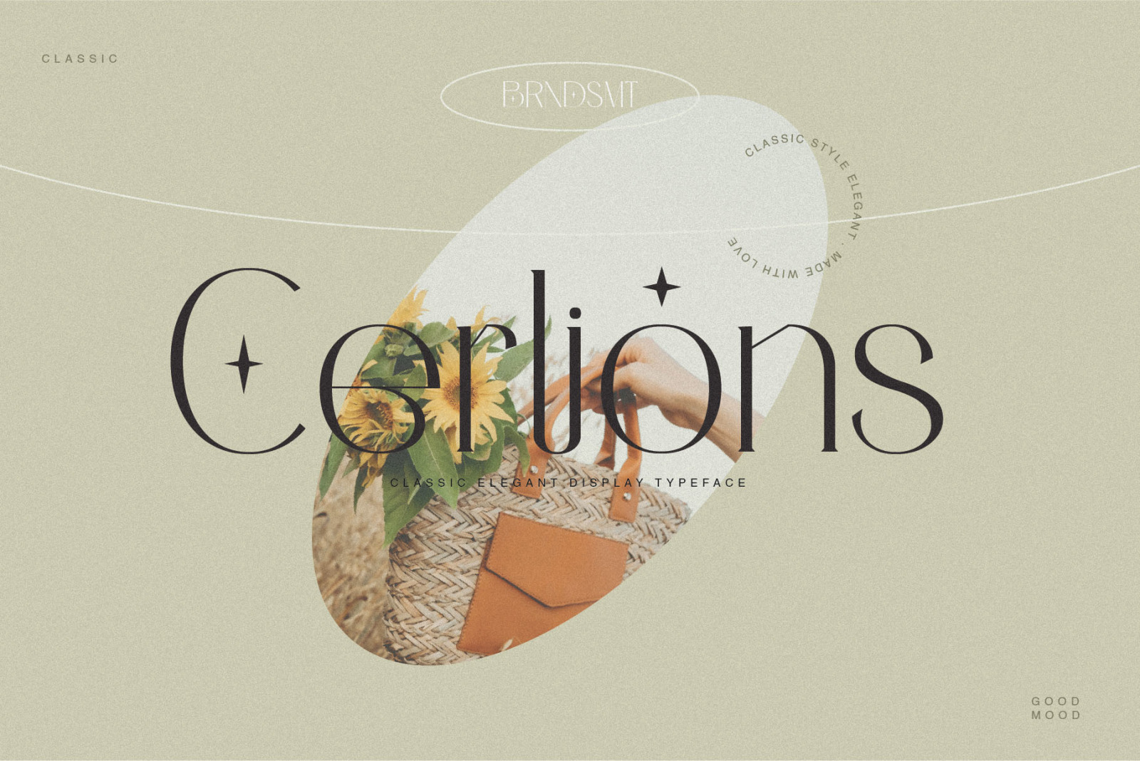 Cerlions - Classic Elegant Display Typeface