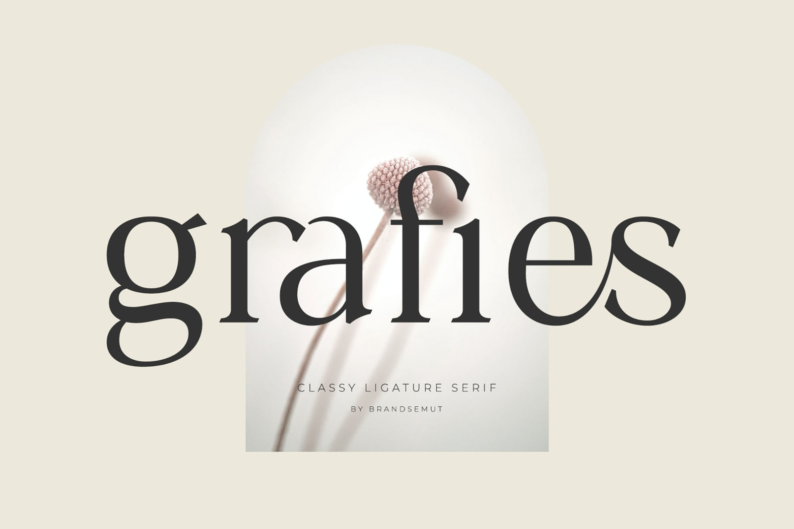Grafies | Classy Ligature Serif Grafies | Classy Ligature Serif