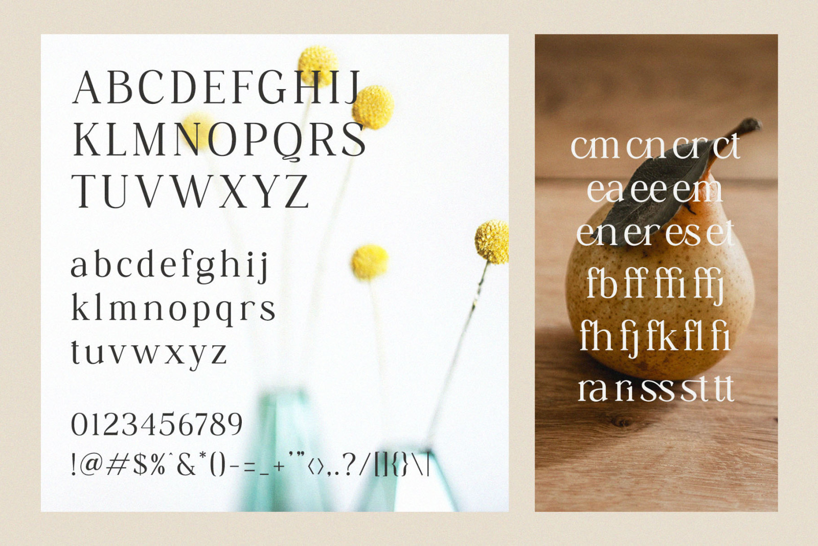 Grafies | Classy Ligature Serif