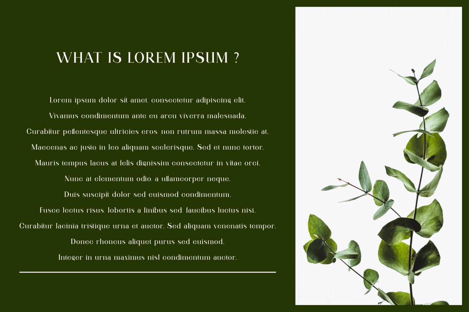 Qitello Ligature Serif Typeface Qitello Ligature Serif Typeface