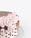 Cake Mockup