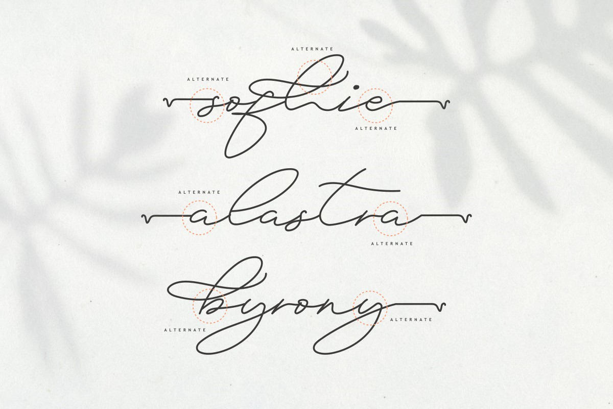 Dreamy Melodies Signature Font Dreamy Melodies Signature Font