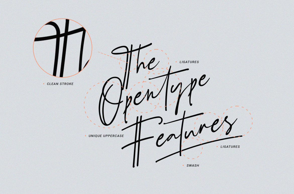 Schrödinger's | Signature Font Schrödinger's | Signature Font