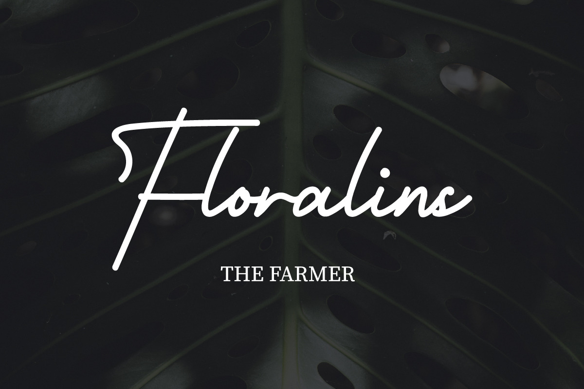 Seaways Script Font Seaways Script Font
