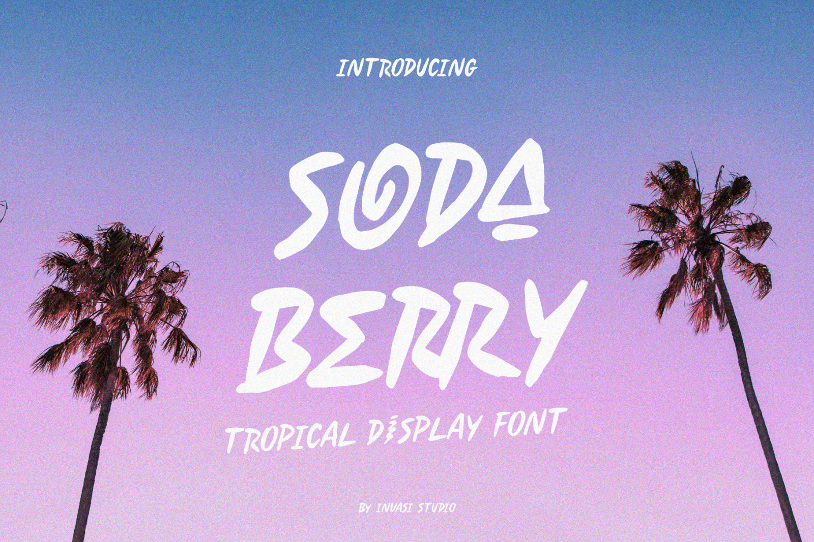 Soda Berry - Tropical Display Soda Berry - Tropical Display