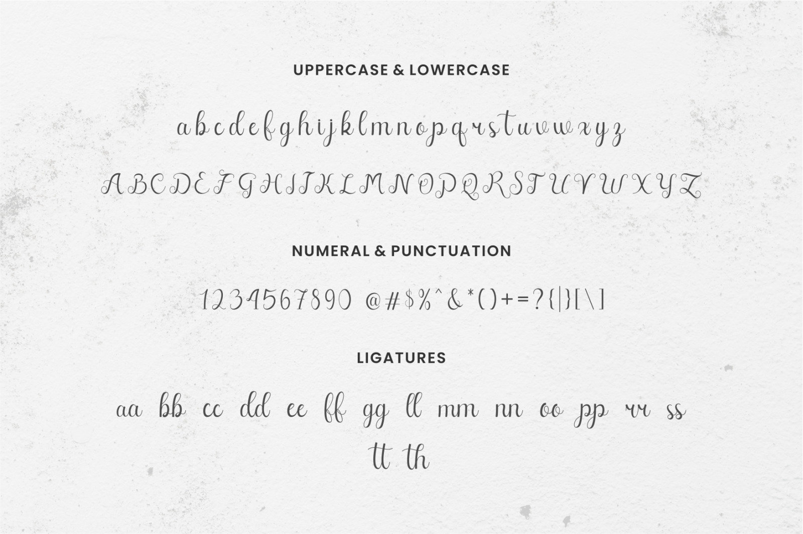 Fellyssa - Calligraphy Script Font Fellyssa - Calligraphy Script Font