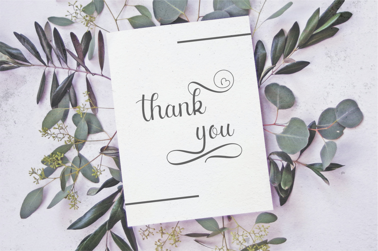 Fellyssa - Calligraphy Script Font Fellyssa - Calligraphy Script Font