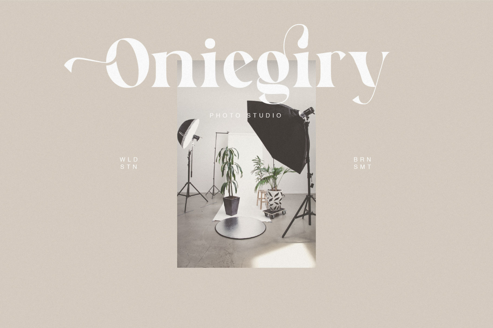 Wildstone - Ligature Serif Typeface Wildstone - Ligature Serif Typeface
