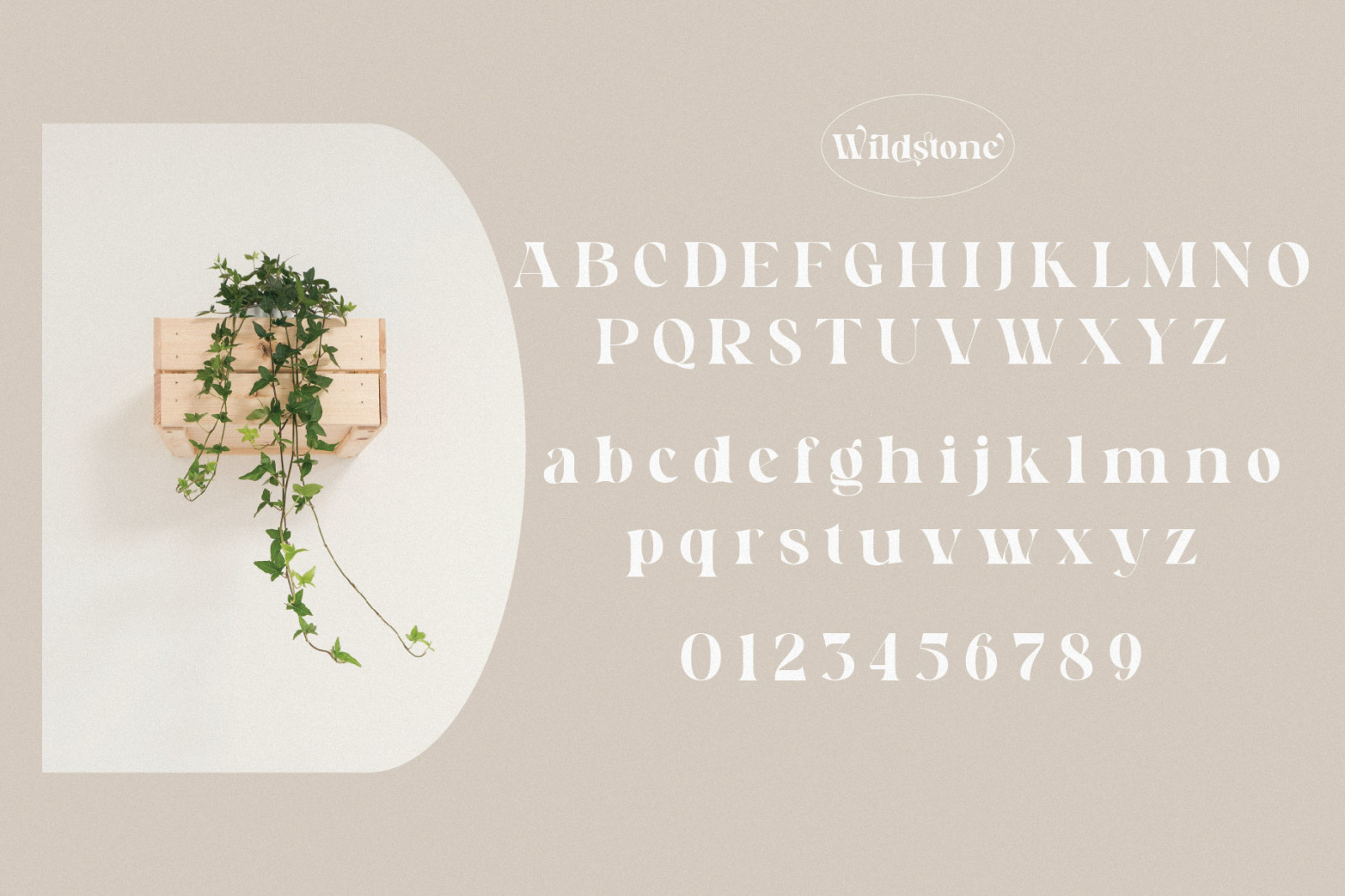 Wildstone - Ligature Serif Typeface