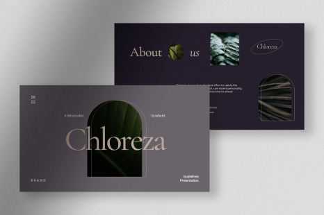 Chloreza - Minimalist Gradient Brand Guidelines Presentation - Image branding