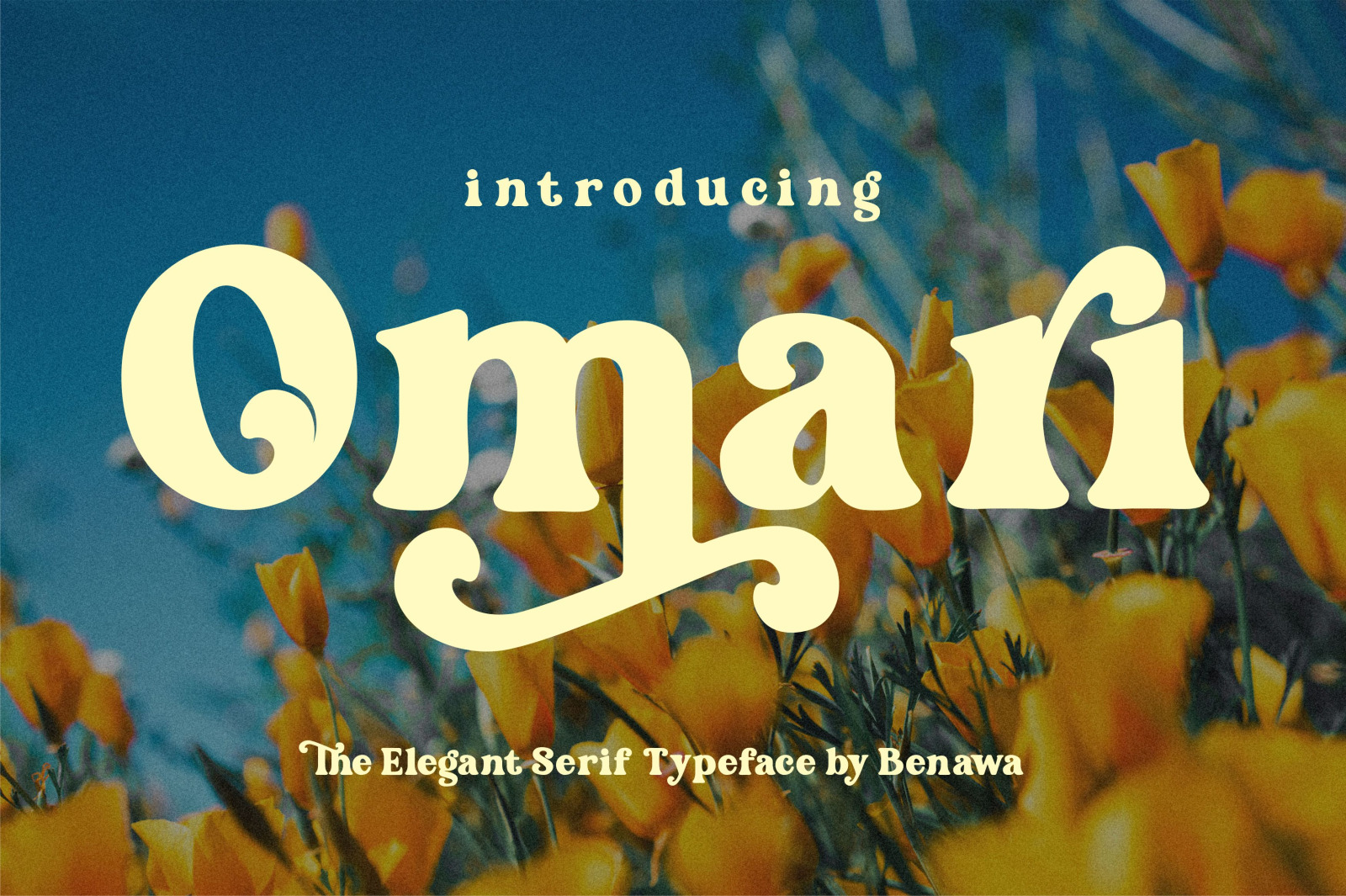 Omari Font Omari Font