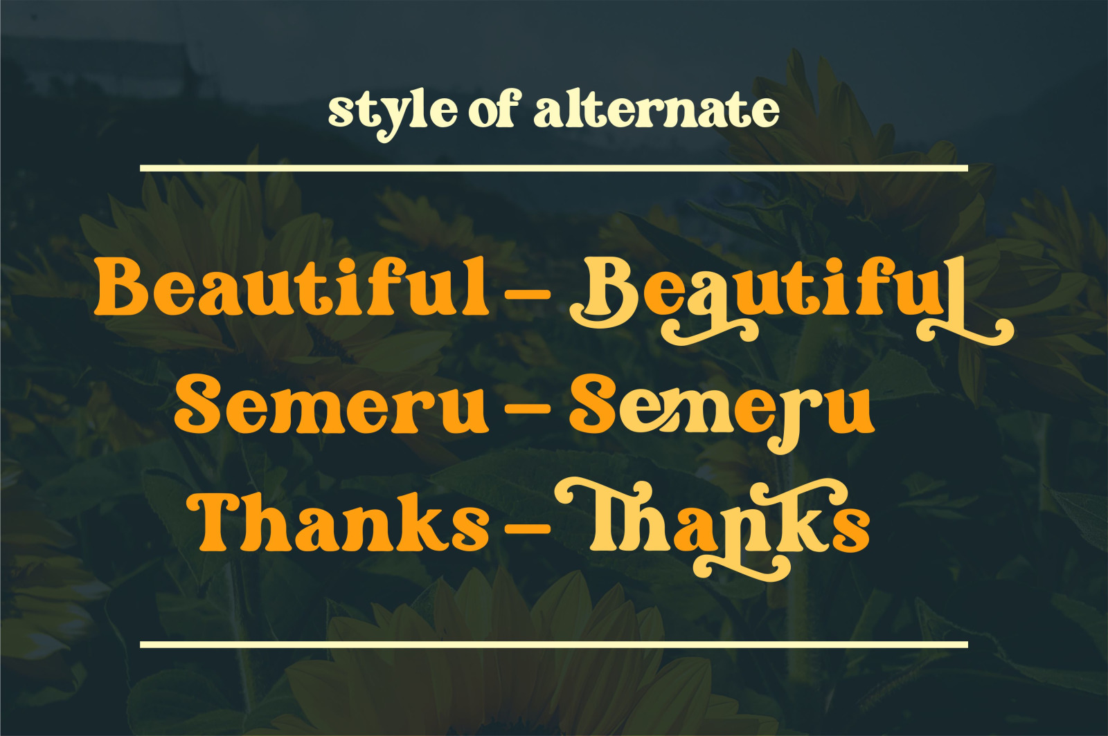 Omari Font Omari Font