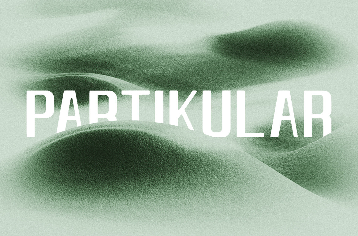 Partikular Font Partikular Font