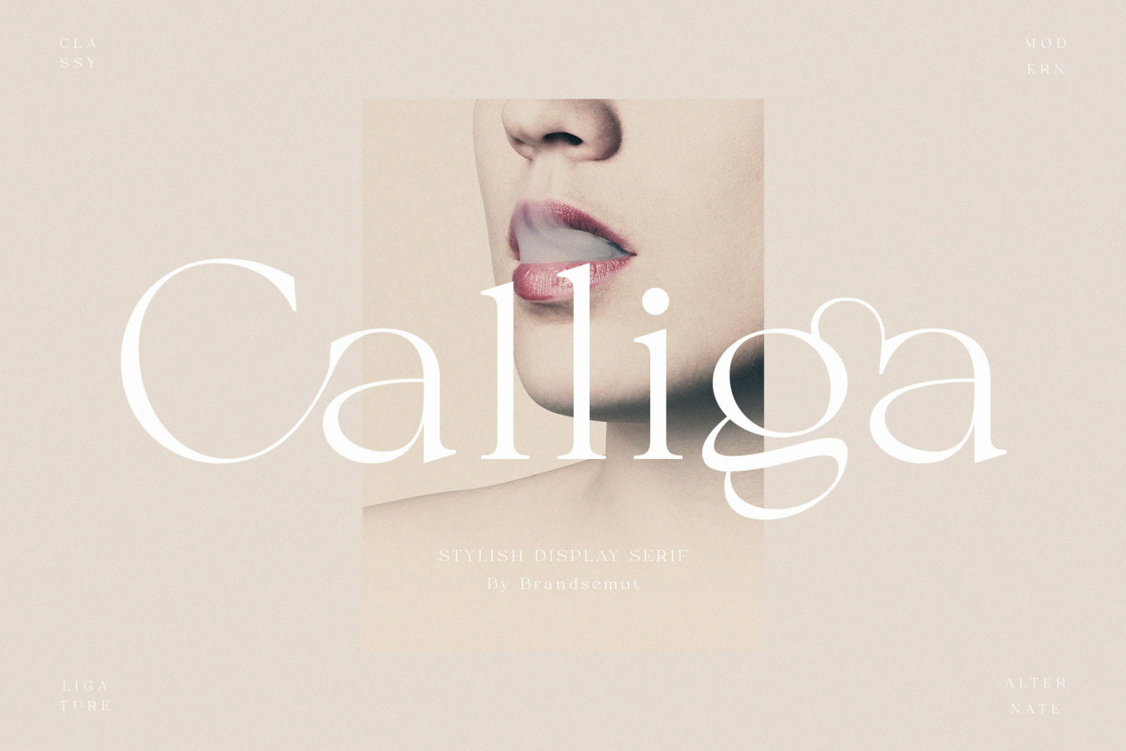 Calliga // Stylish Ligature Serif Calliga // Stylish Ligature Serif