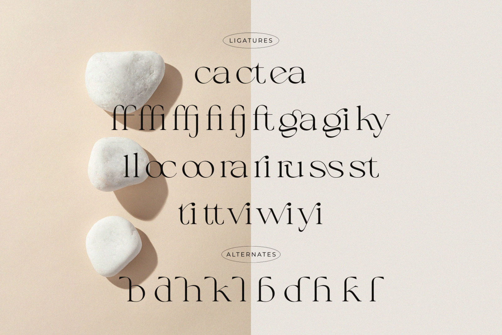 Calliga // Stylish Ligature Serif