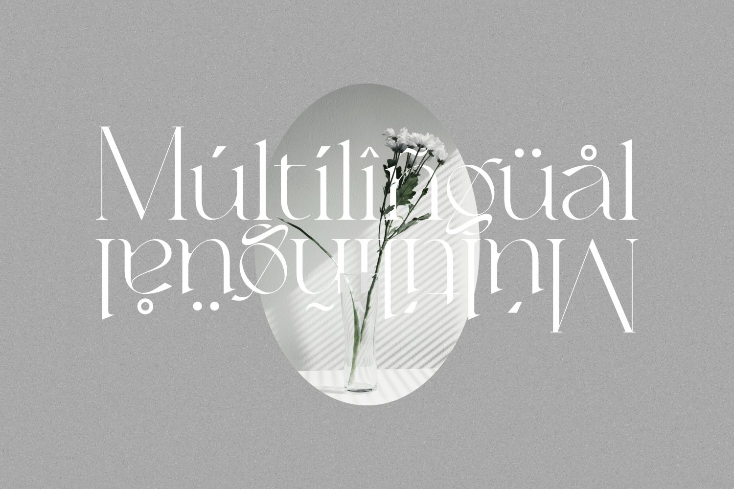 Balinest _ chic modern font