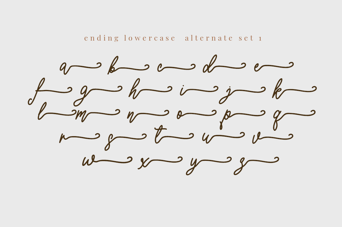 Swastika - A beautiful Script Font Swastika - A beautiful Script Font