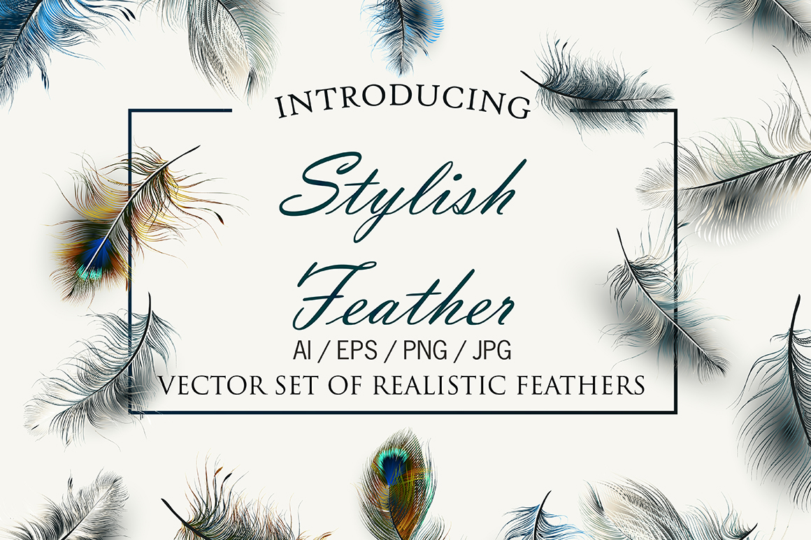 Set of vector realistic feathers Set of vector realistic feathers