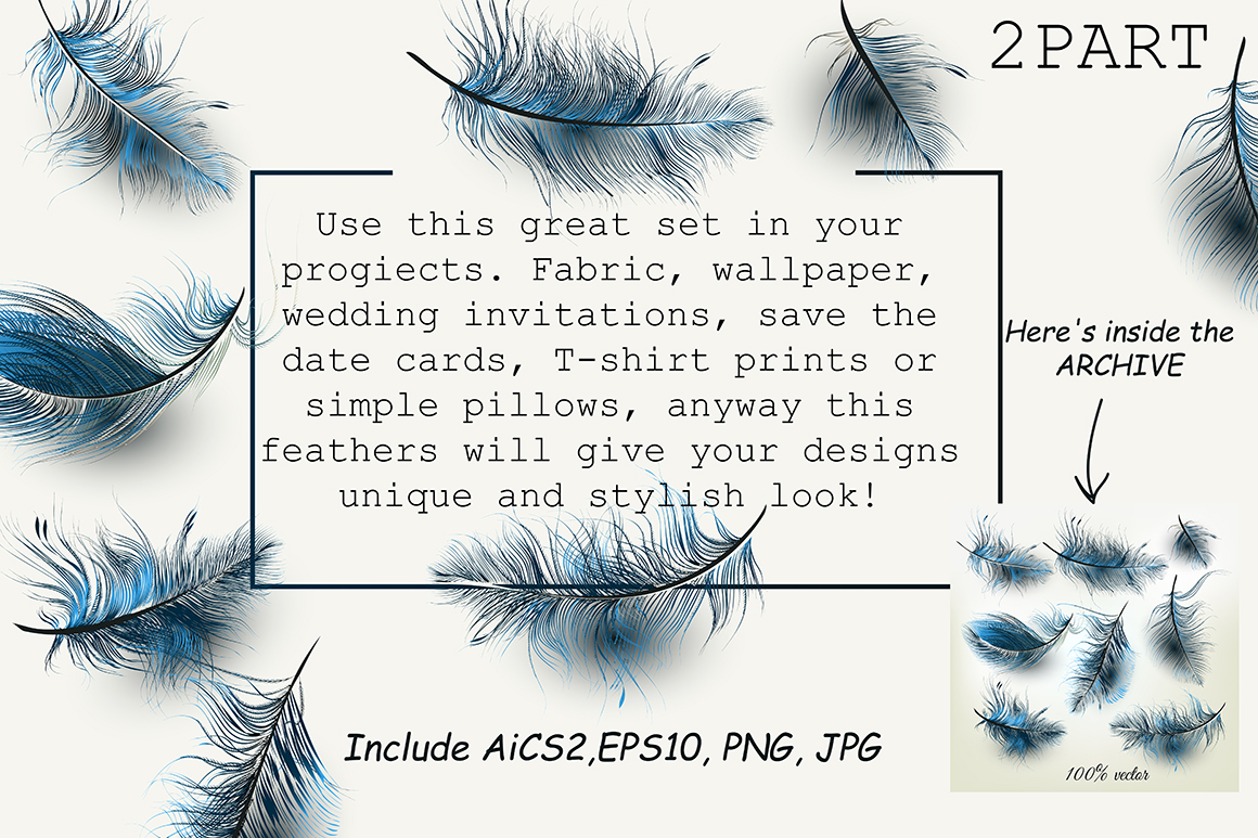 Set of vector realistic feathers Set of vector realistic feathers