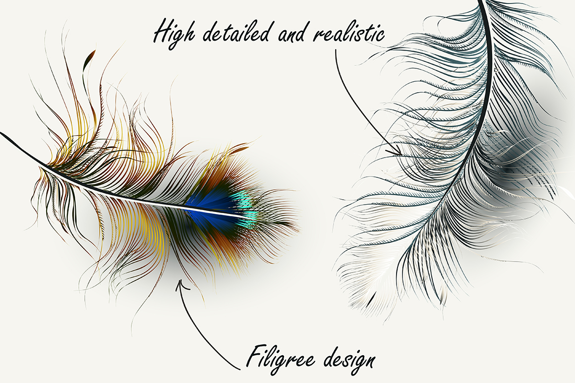 Set of vector realistic feathers Set of vector realistic feathers