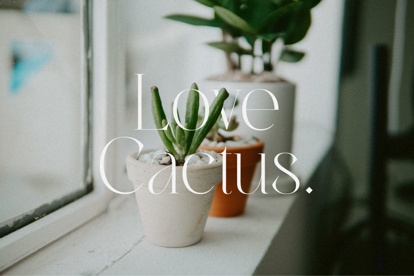 Migasike // Stylish Ligature Serif Migasike // Stylish Ligature Serif