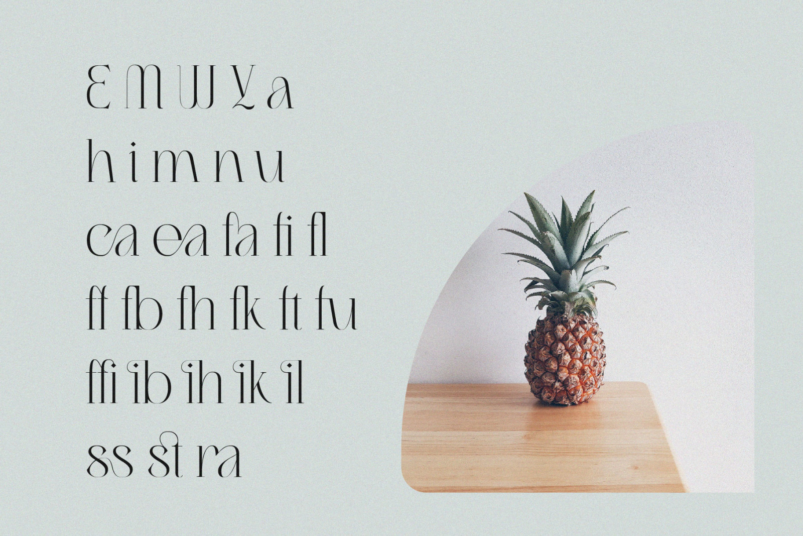 Migasike // Stylish Ligature Serif Migasike // Stylish Ligature Serif