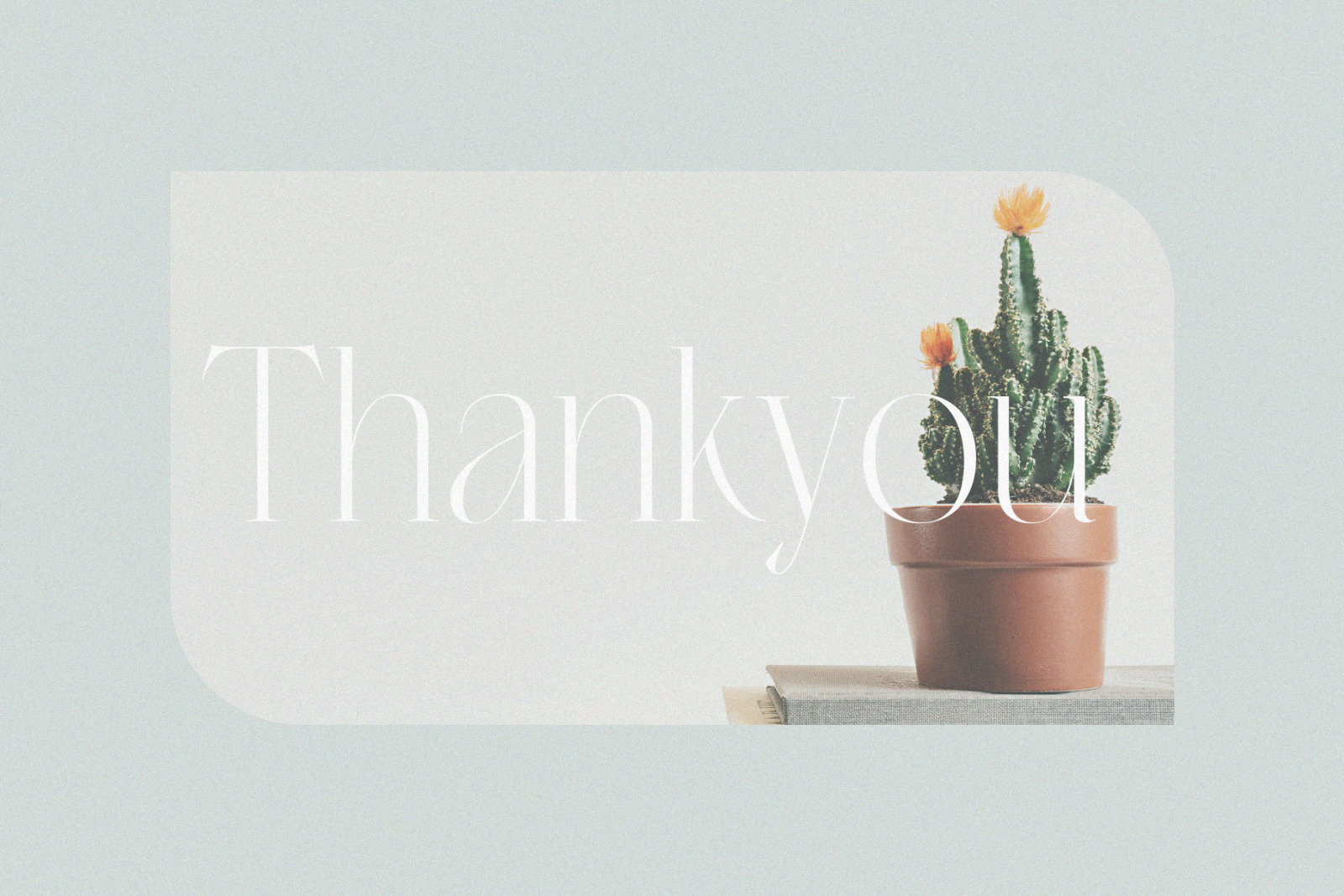 Migasike // Stylish Ligature Serif Migasike // Stylish Ligature Serif