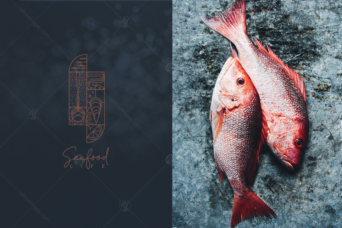 Modern Art Deco Seafood Art Modern Art Deco Seafood Art