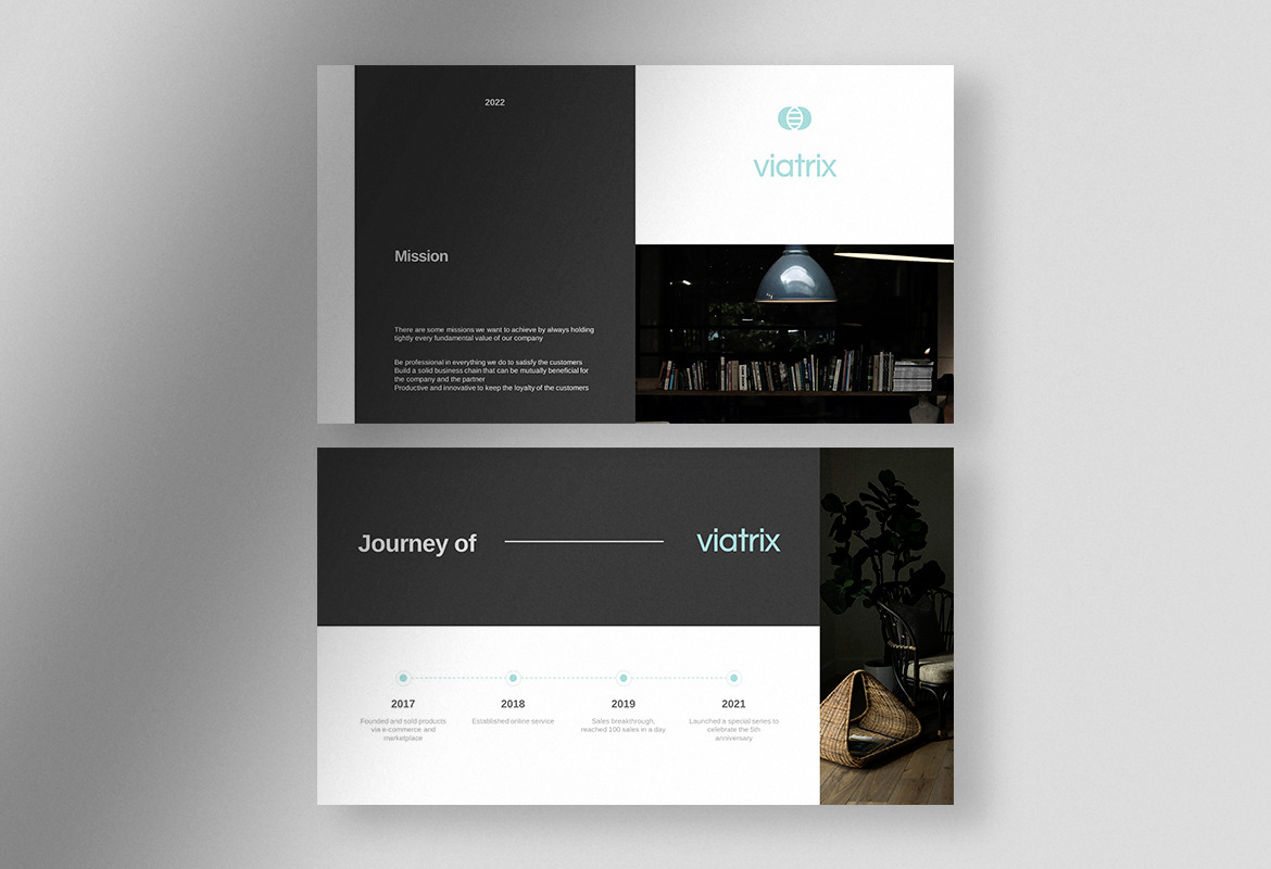 Viatrix - Professional Corporate Business Presentation