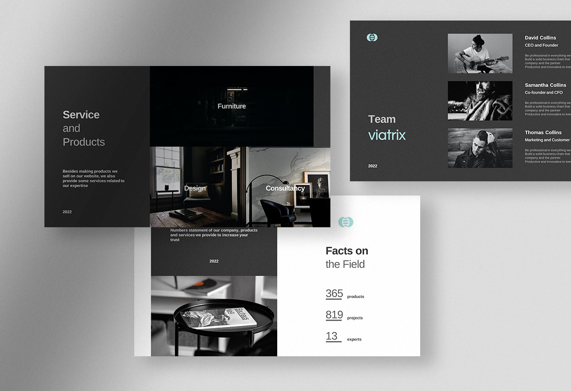 Viatrix - Professional Corporate Business Presentation Viatrix - Professional Corporate Business Presentation