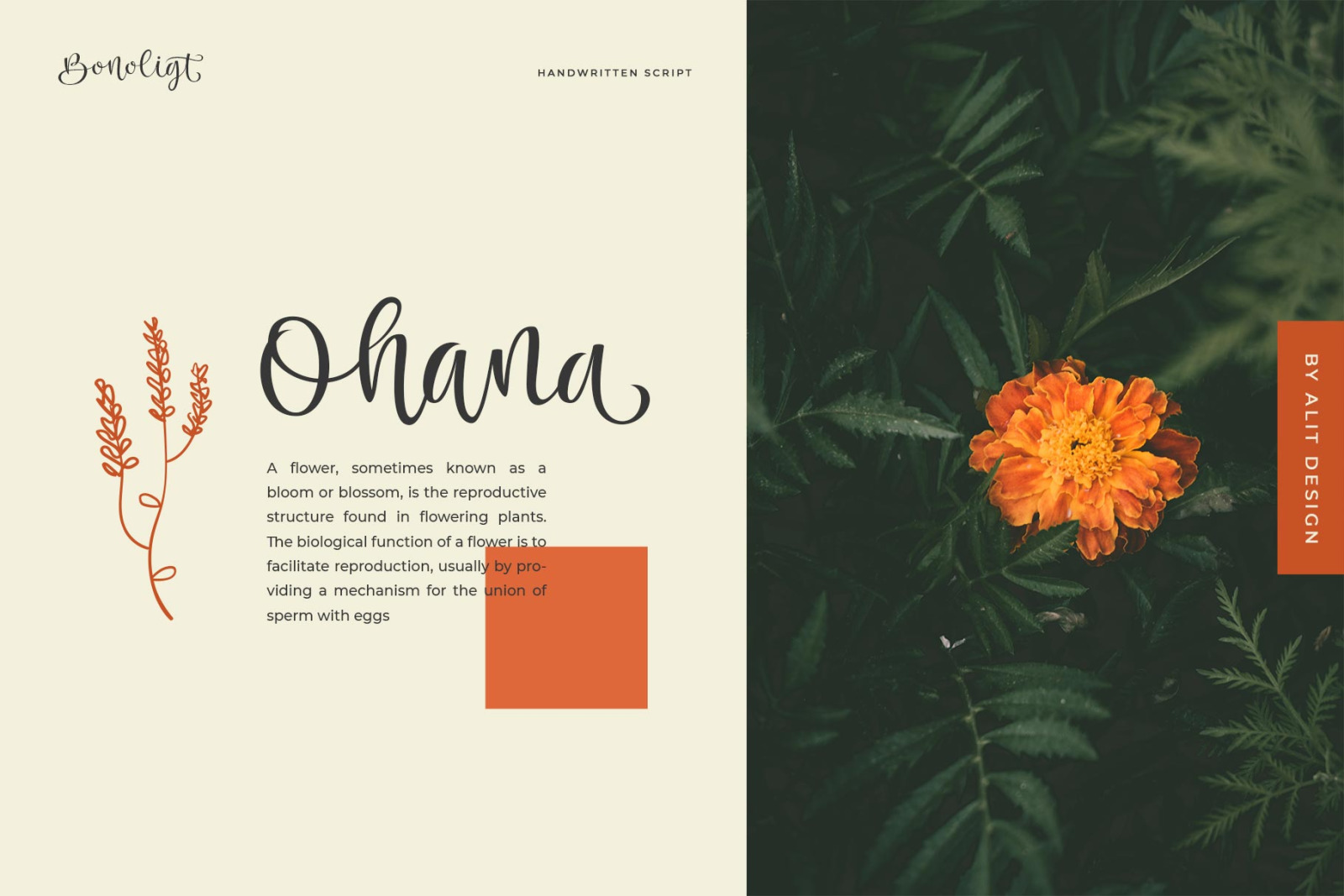 Bonoligt Typeface Bonoligt Typeface