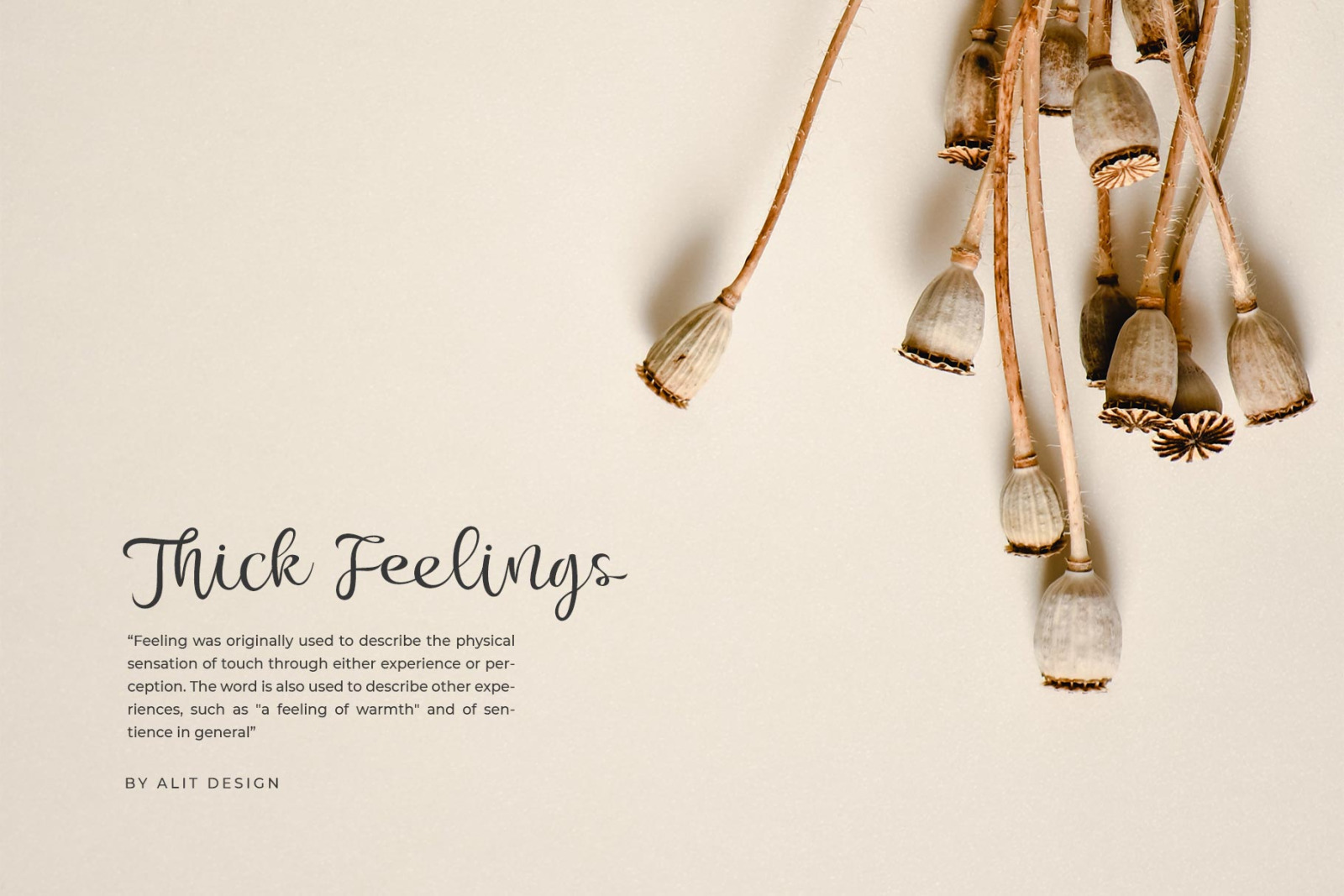 Bonoligt Typeface Bonoligt Typeface