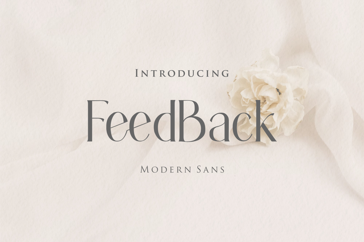 FeedBack Font FeedBack Font