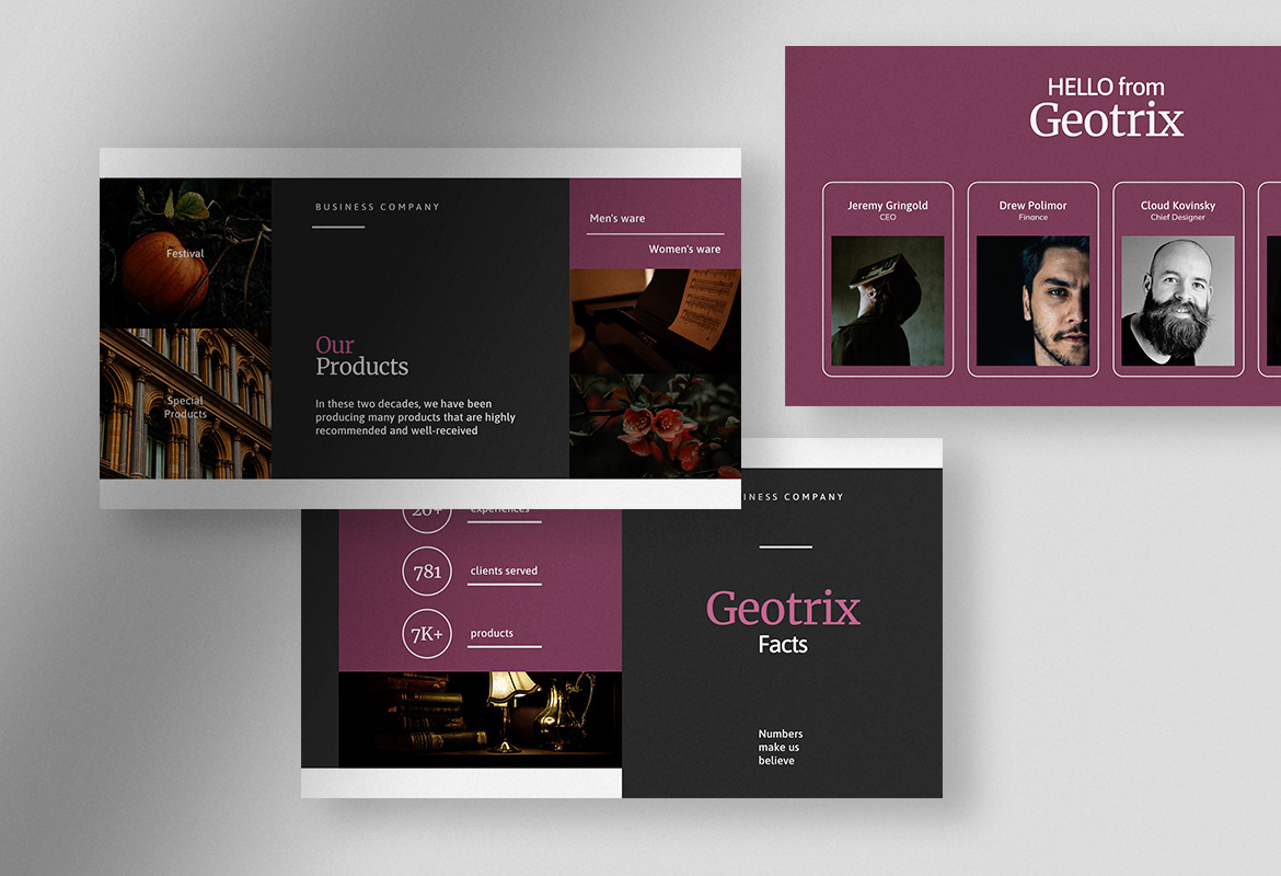 Geotrix - Grape Juice Modern Company Profile Presentation Geotrix - Grape Juice Modern Company Profile Presentation