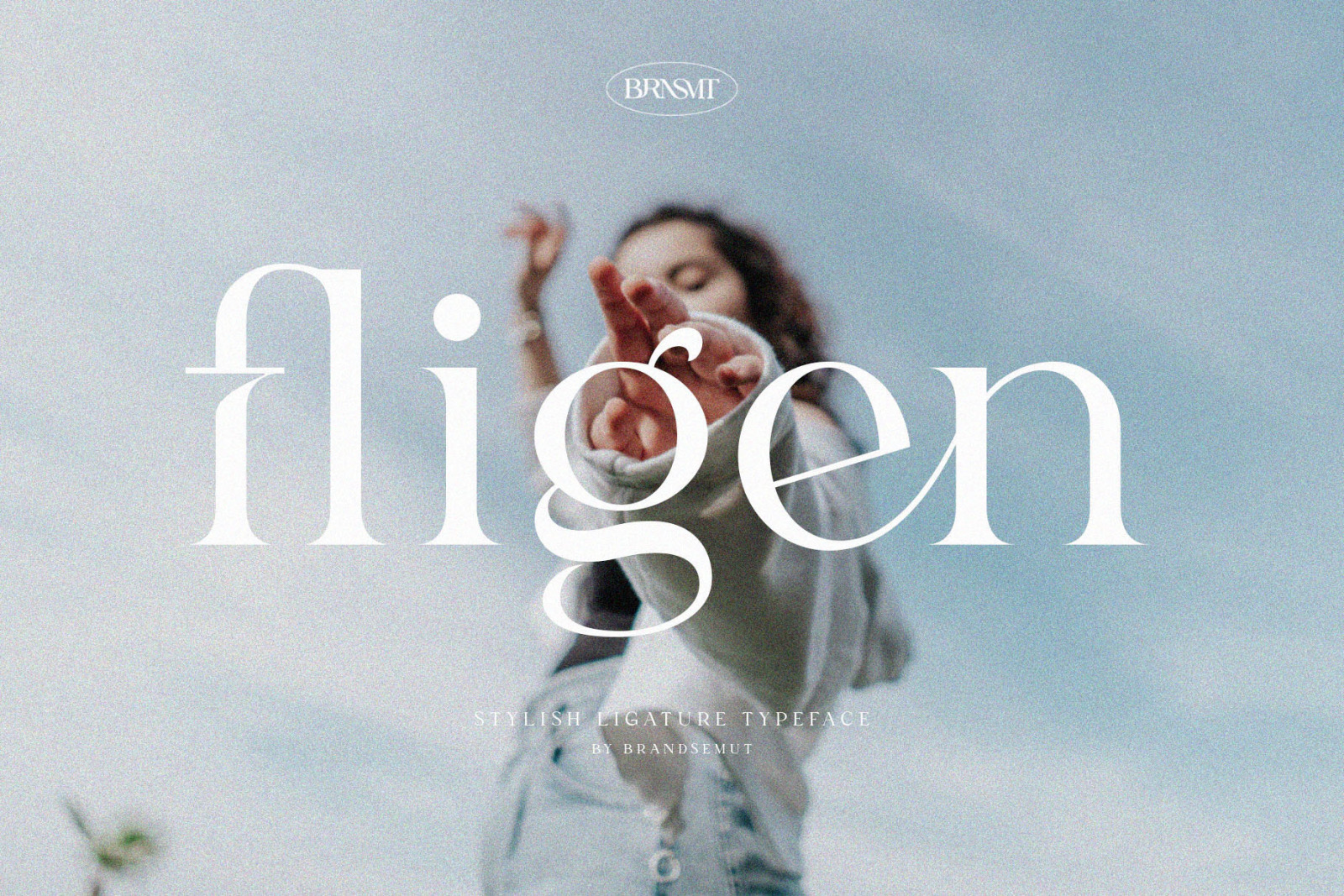 Fligen - Stylish Serif