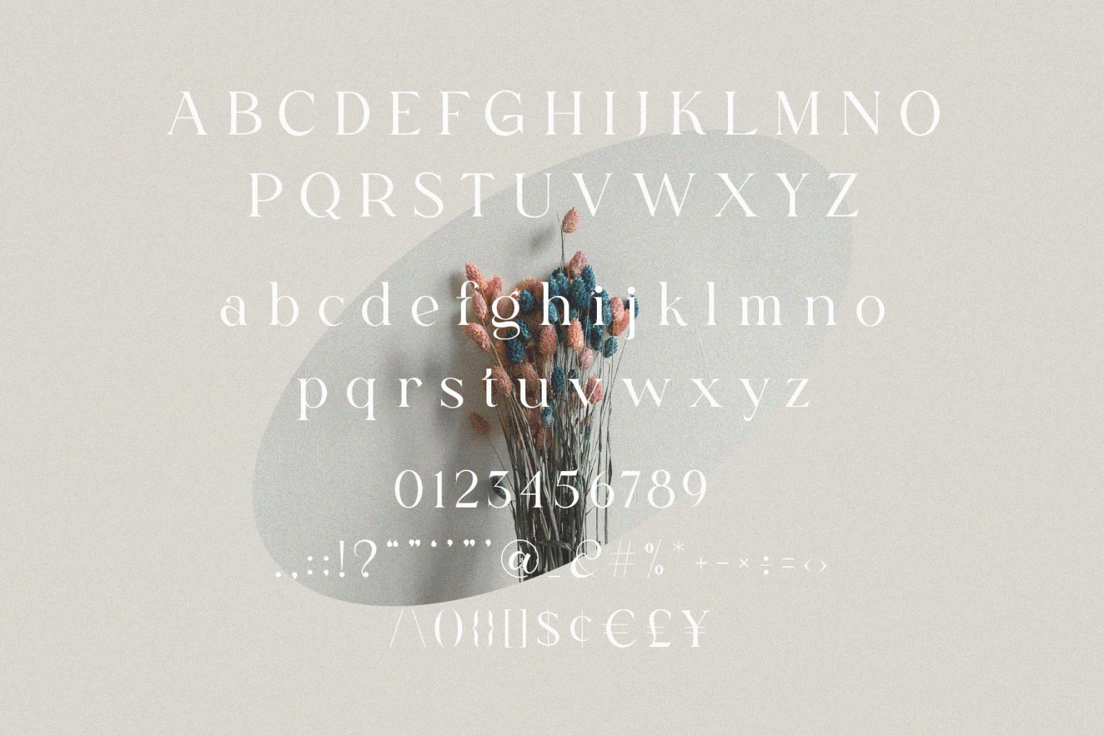 Fligen - Stylish Serif