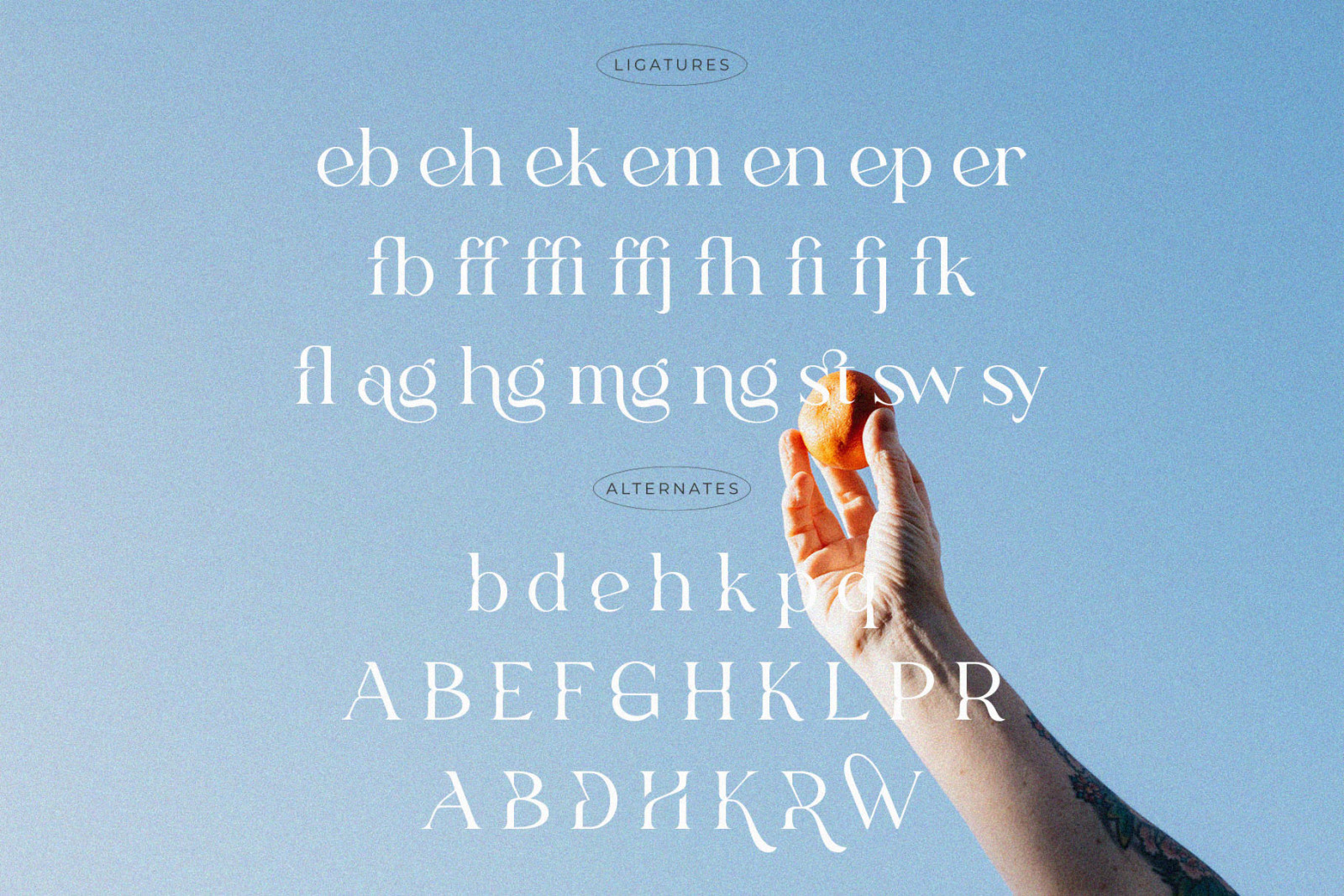 Fligen - Stylish Serif Fligen - Stylish Serif