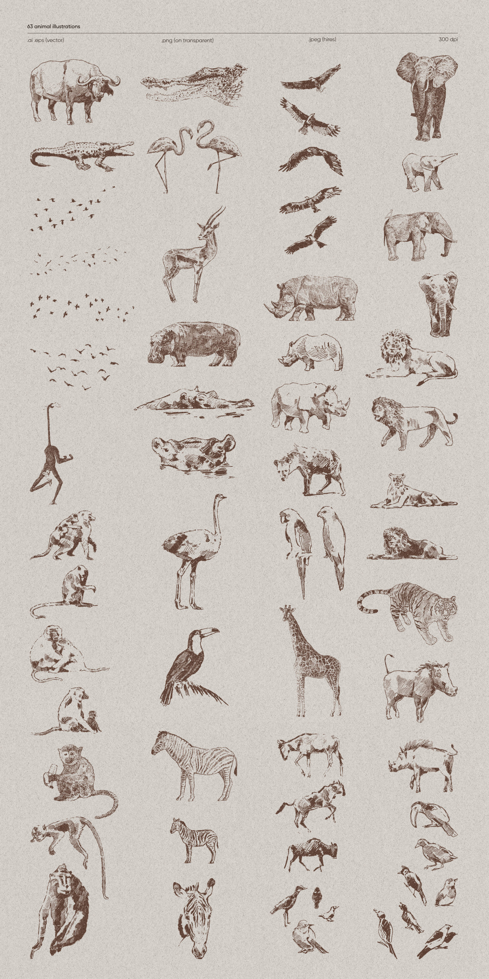 Africa. Safari Animals and Trees Africa. Safari Animals and Trees