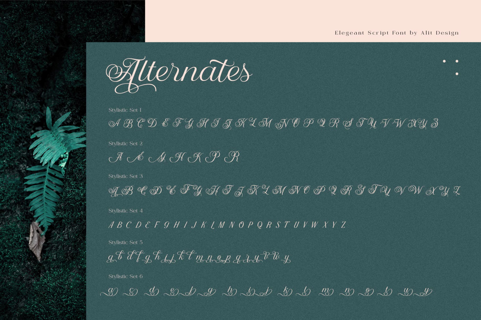 Nandola Typeface Nandola Typeface