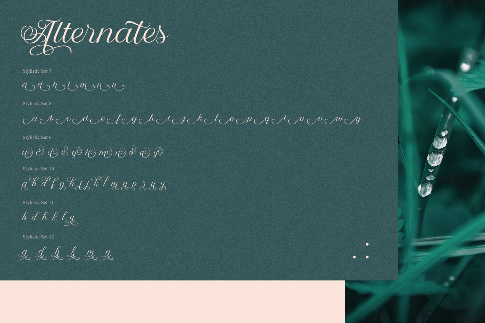 Nandola Typeface Nandola Typeface