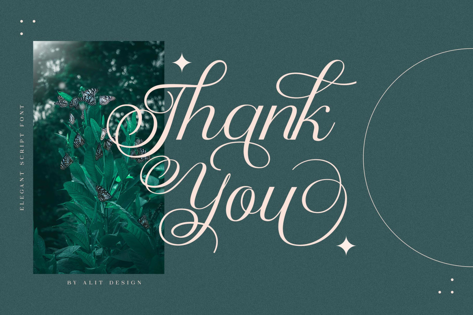 Nandola Typeface Nandola Typeface