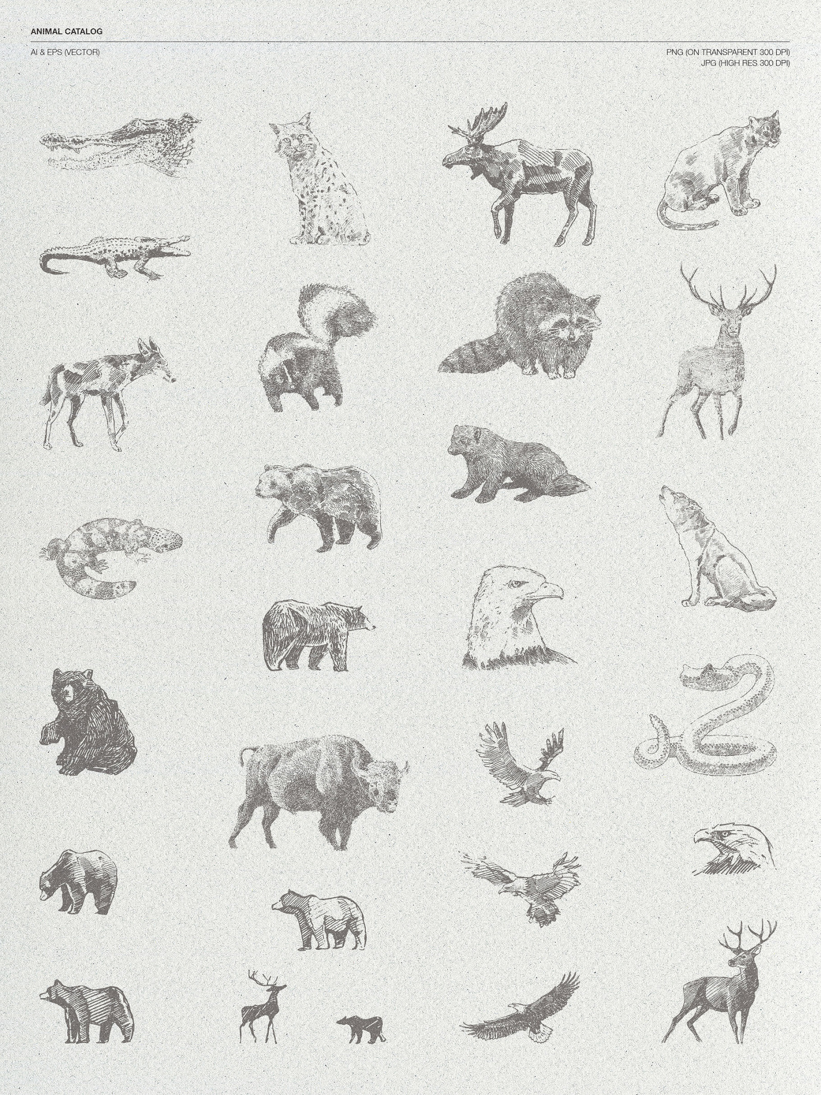 Sketches of animals of North America Sketches of animals of North America