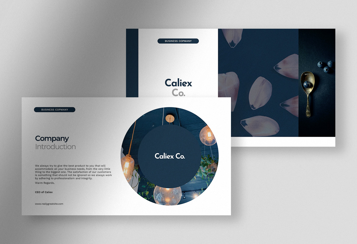 Caliex - Deep Blue Sea Professional Company Presentation Caliex - Deep Blue Sea Professional Company Presentation