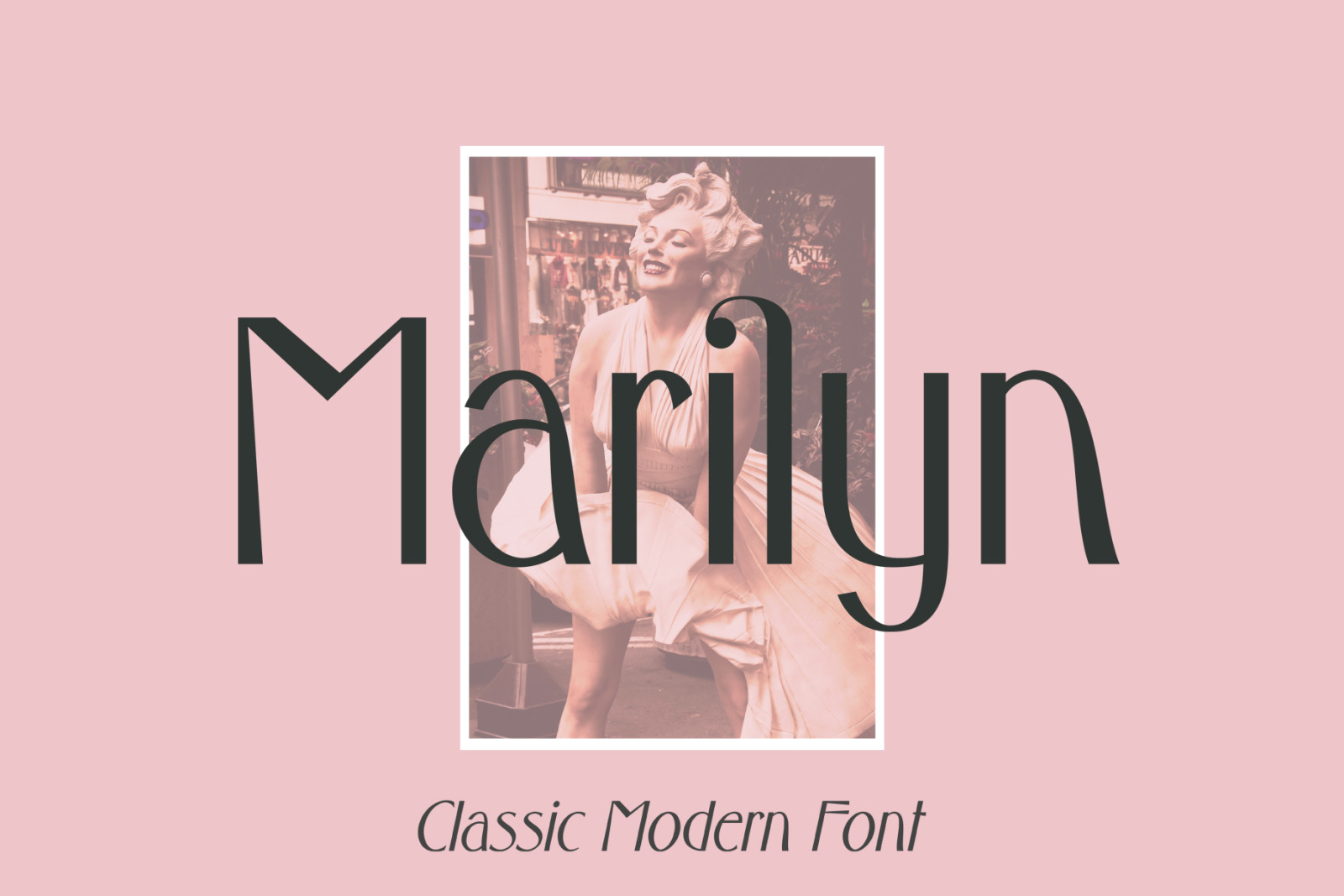Marilyn Font Marilyn Font