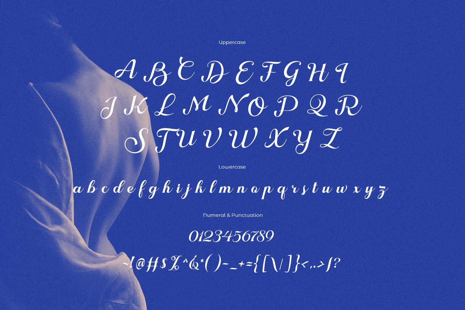 Nokarin Font Nokarin Font