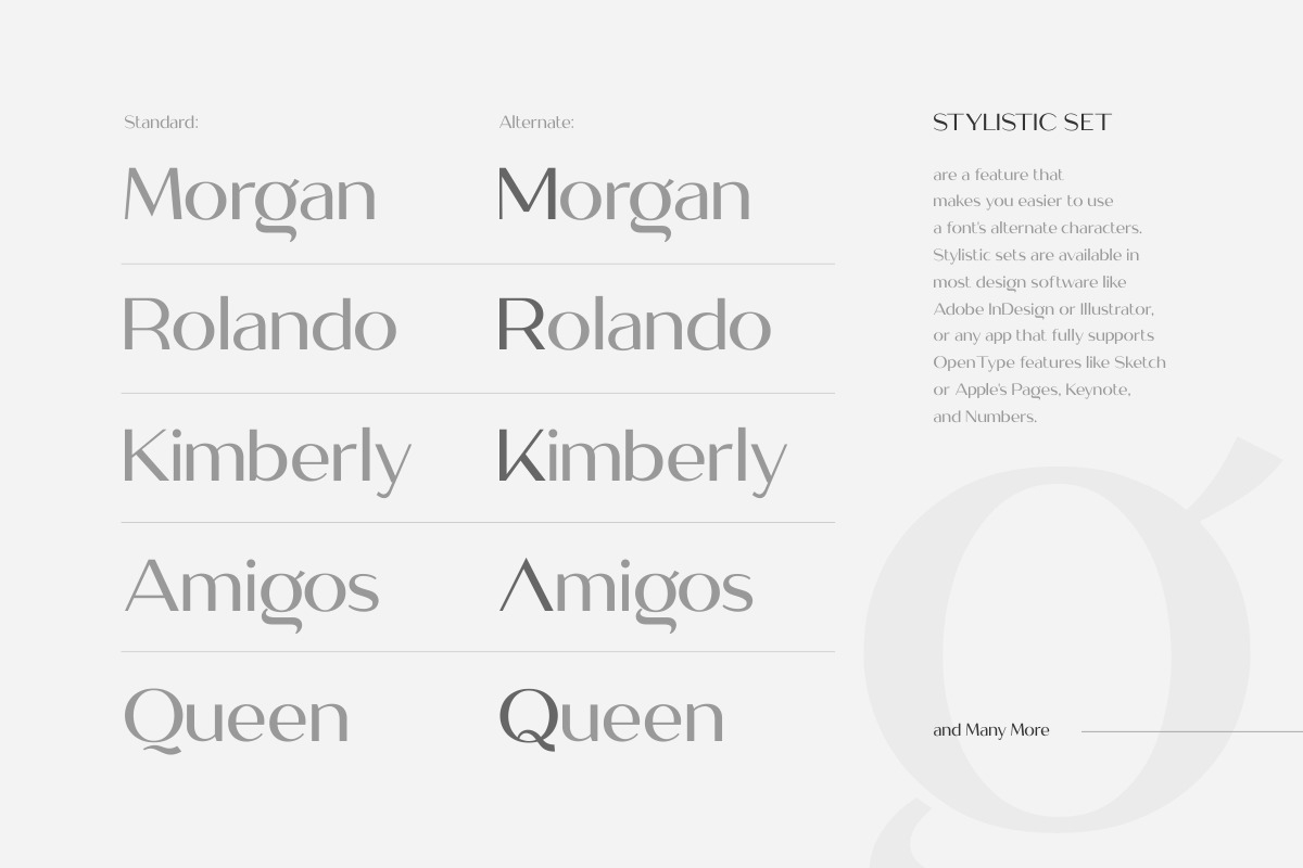 Megante - Classy Font Megante - Classy Font
